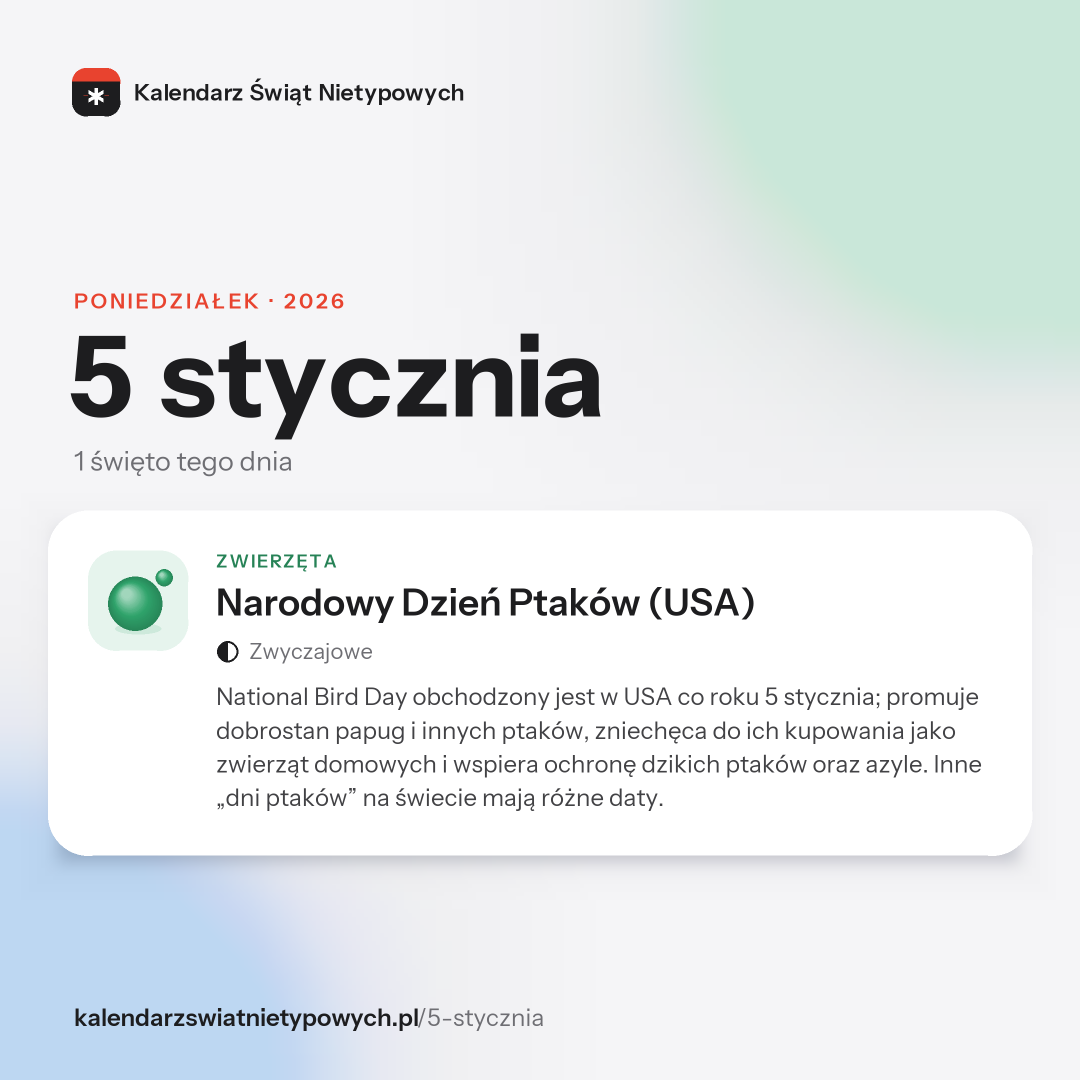 Grafika dnia 5 stycznia, format post 1:1