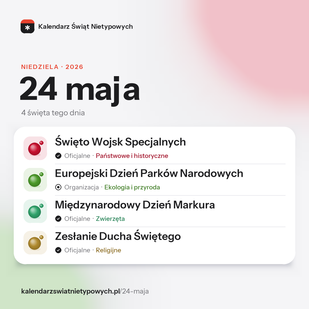 Grafika dnia 24 maja, format post 1:1