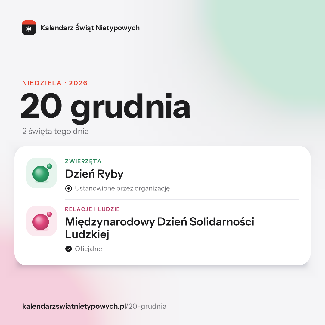 Grafika dnia 20 grudnia, format post 1:1